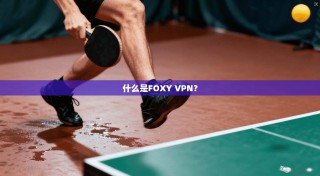 什么是FOXY VPN？