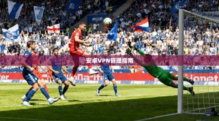 安卓VPN管理指南