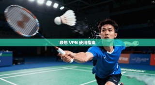 联想 VPN 使用指南