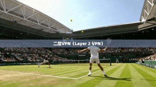 二层VPN（Layer 2 VPN）