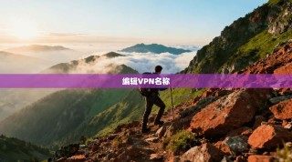 编辑VPN名称