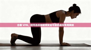 台客 VPN，如何选择和使用安全可靠的虚拟专用网络