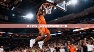 鸽子VPN，安全可靠的网络解决方案