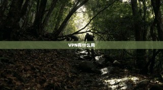 VPN有什么用