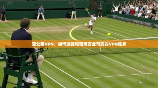 蒲公英VPN，如何选择和使用安全可靠的VPN服务