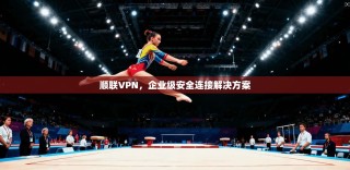 顺联VPN，企业级安全连接解决方案