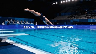 五鸟VPN，探索网络安全与隐私保护的边界