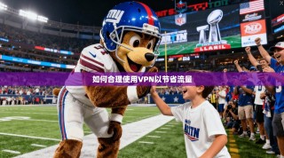 如何合理使用VPN以节省流量