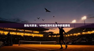 隐私与安全，VPN在现代生活中的重要性
