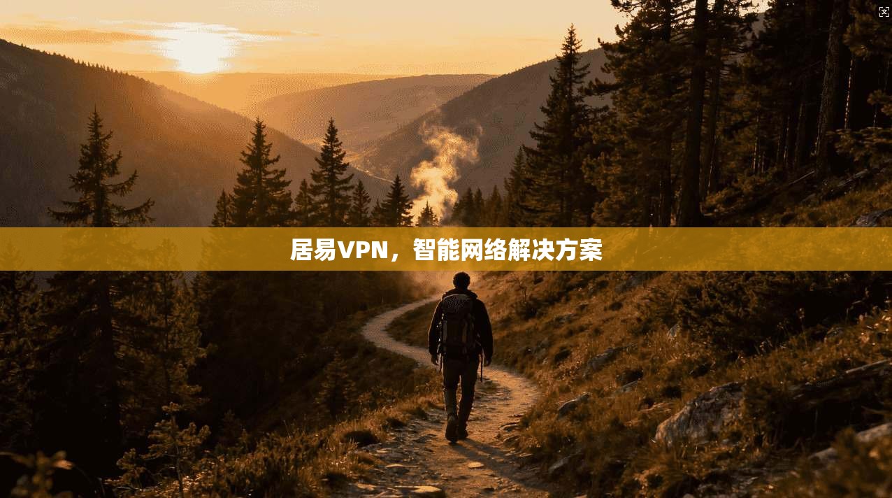 居易VPN，智能网络解决方案  第1张