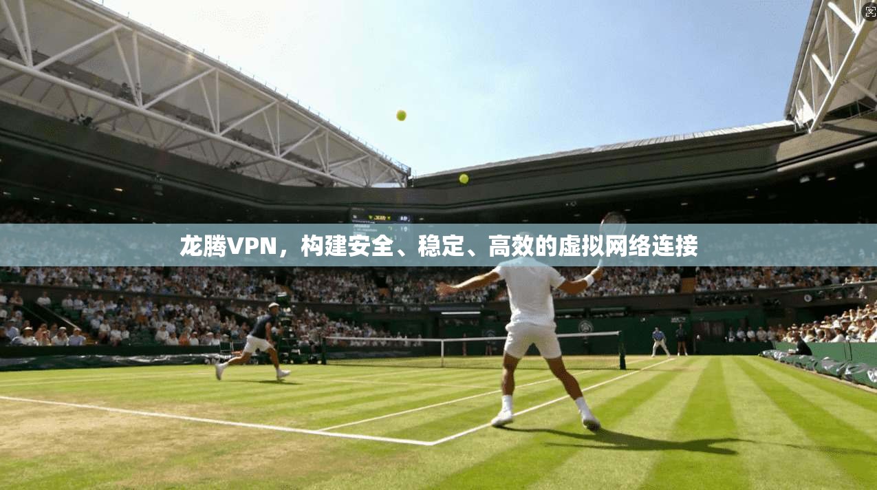 龙腾VPN，构建安全、稳定、高效的虚拟网络连接  第1张