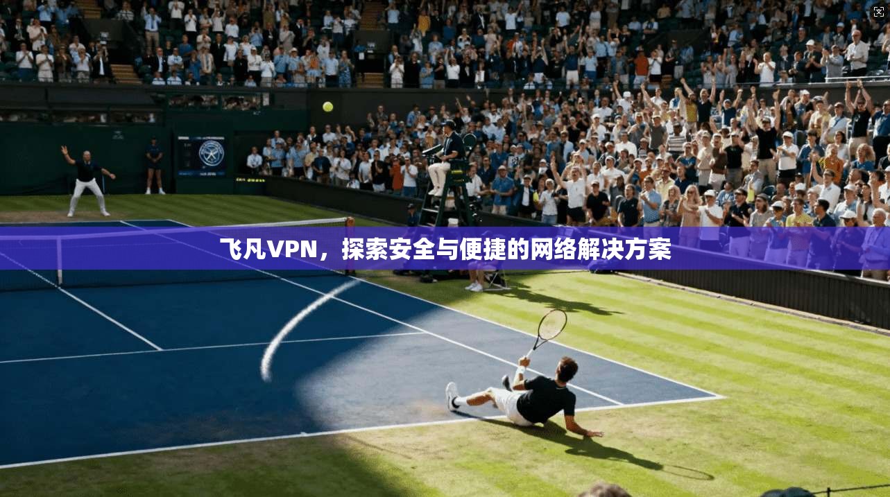 飞凡VPN，探索安全与便捷的网络解决方案  第1张
