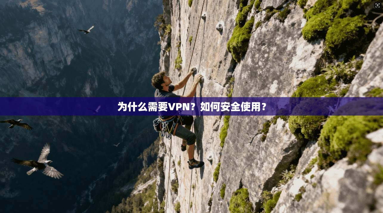 为什么需要VPN？如何安全使用？  第1张
