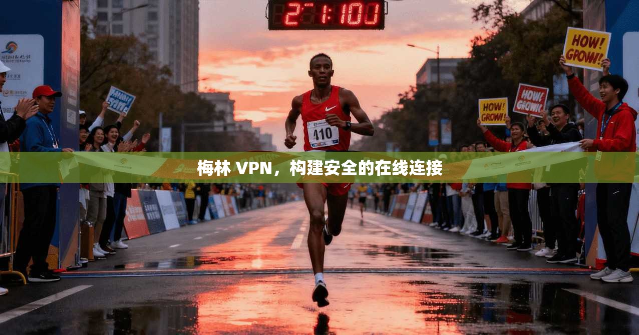 梅林 VPN，构建安全的在线连接  第1张