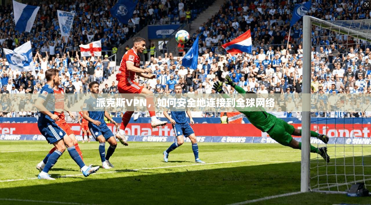 派克斯VPN，如何安全地连接到全球网络  第1张