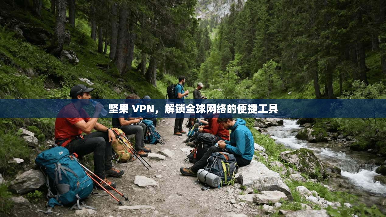 坚果 VPN，解锁全球网络的便捷工具  第1张