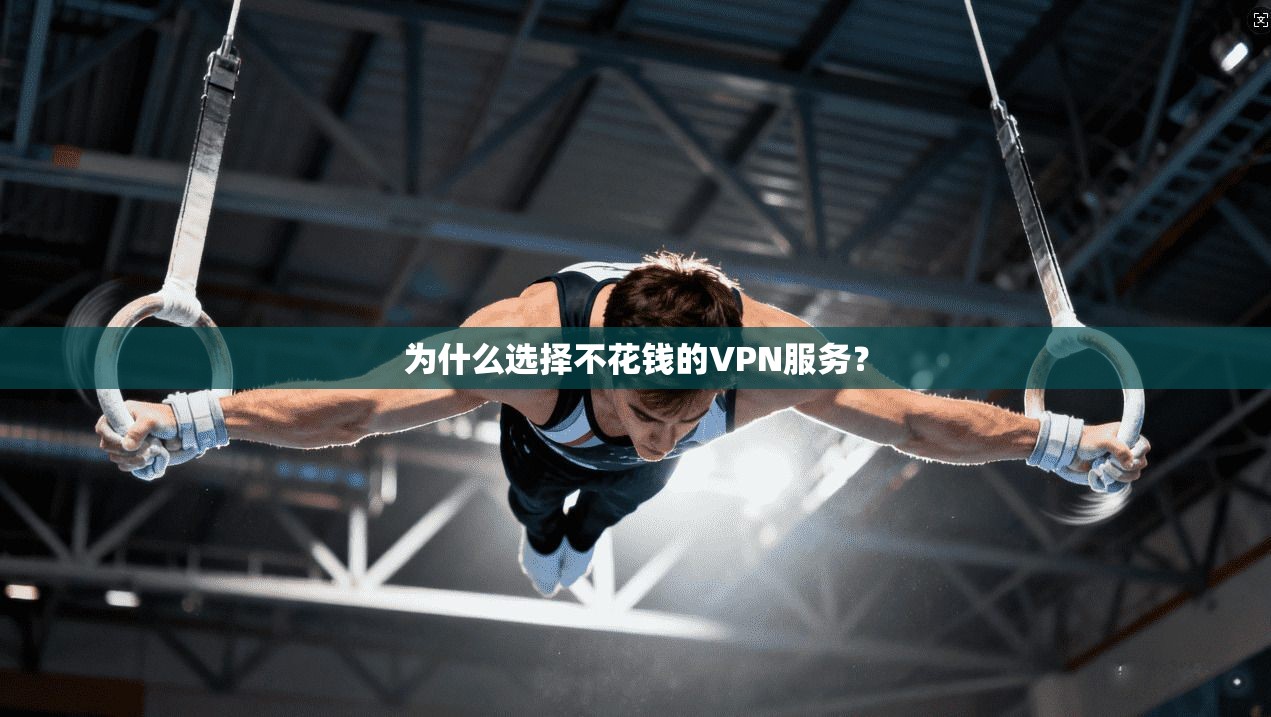 为什么选择不花钱的VPN服务？  第1张