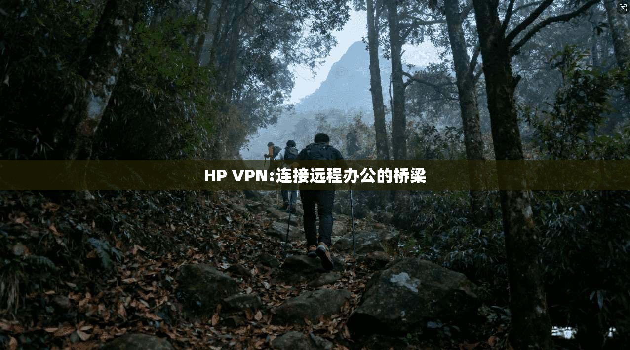 HP VPN:连接远程办公的桥梁 第1张 HP VPN:连接远程办公的桥梁 第1张