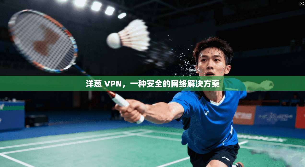 洋葱 VPN，一种安全的网络解决方案  第1张