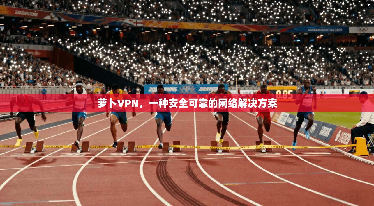 萝卜VPN，一种安全可靠的网络解决方案  第1张