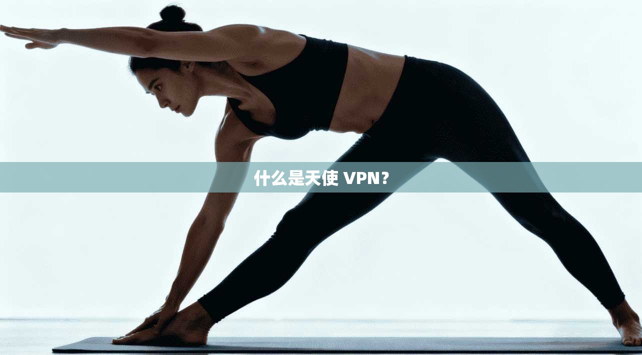 什么是天使 VPN? 第1张 什么是天使 VPN? 第1张