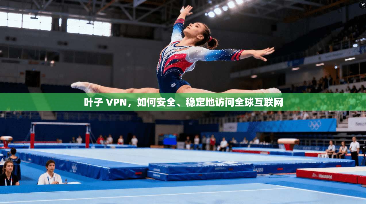 叶子 VPN,如何安全、稳定地访问全球互联网 第1张 叶子 VPN,如何安全、稳定地访问全球互联网 第1张