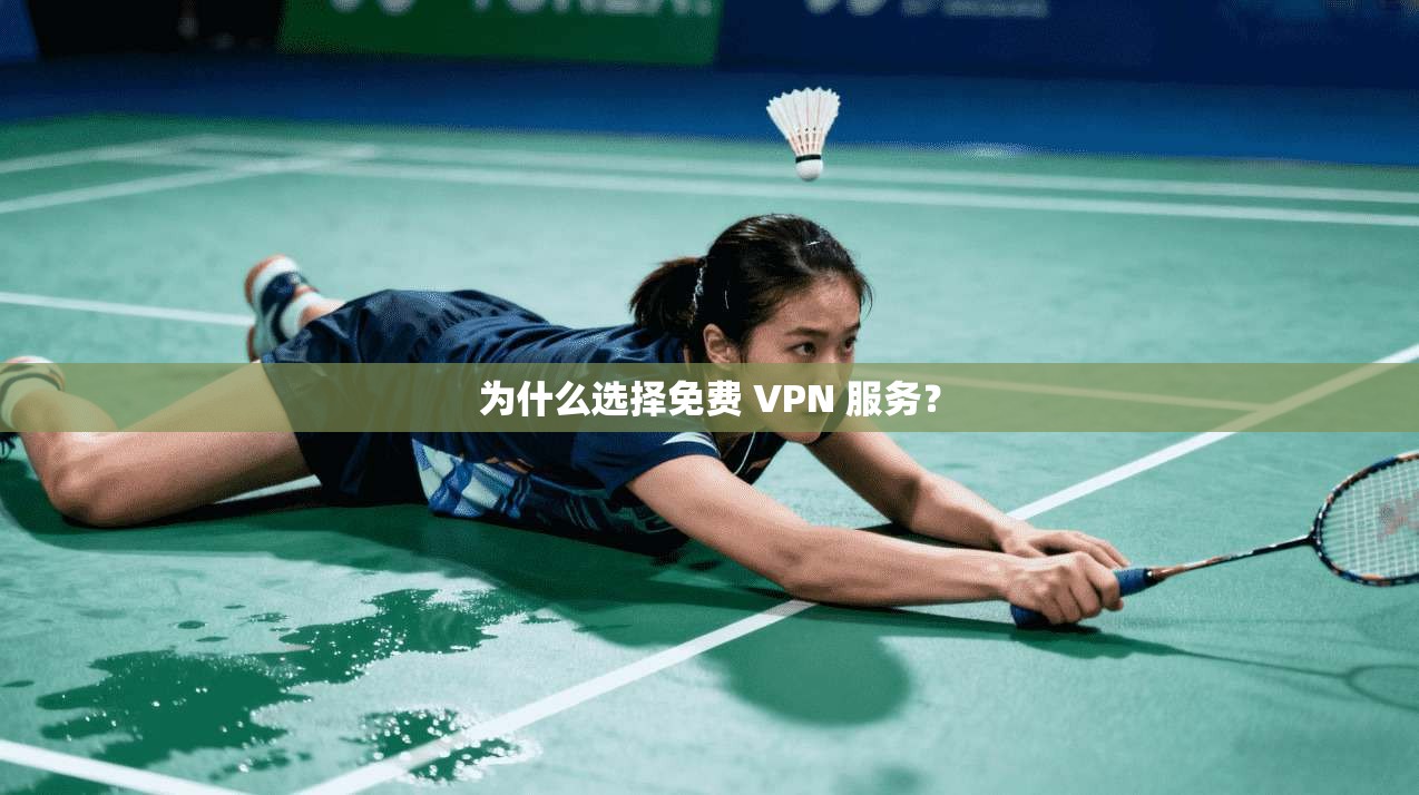 为什么选择免费 VPN 服务? 第1张 为什么选择免费 VPN 服务? 第1张