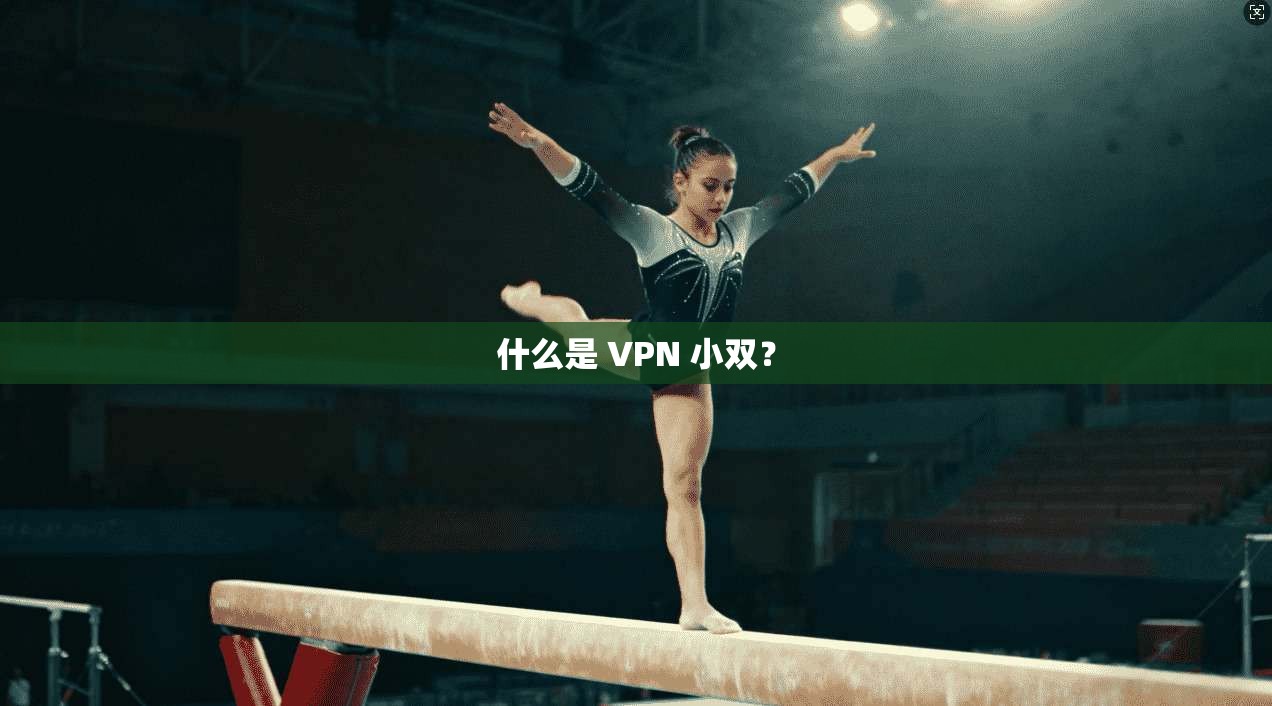 什么是 VPN 小双？  第1张