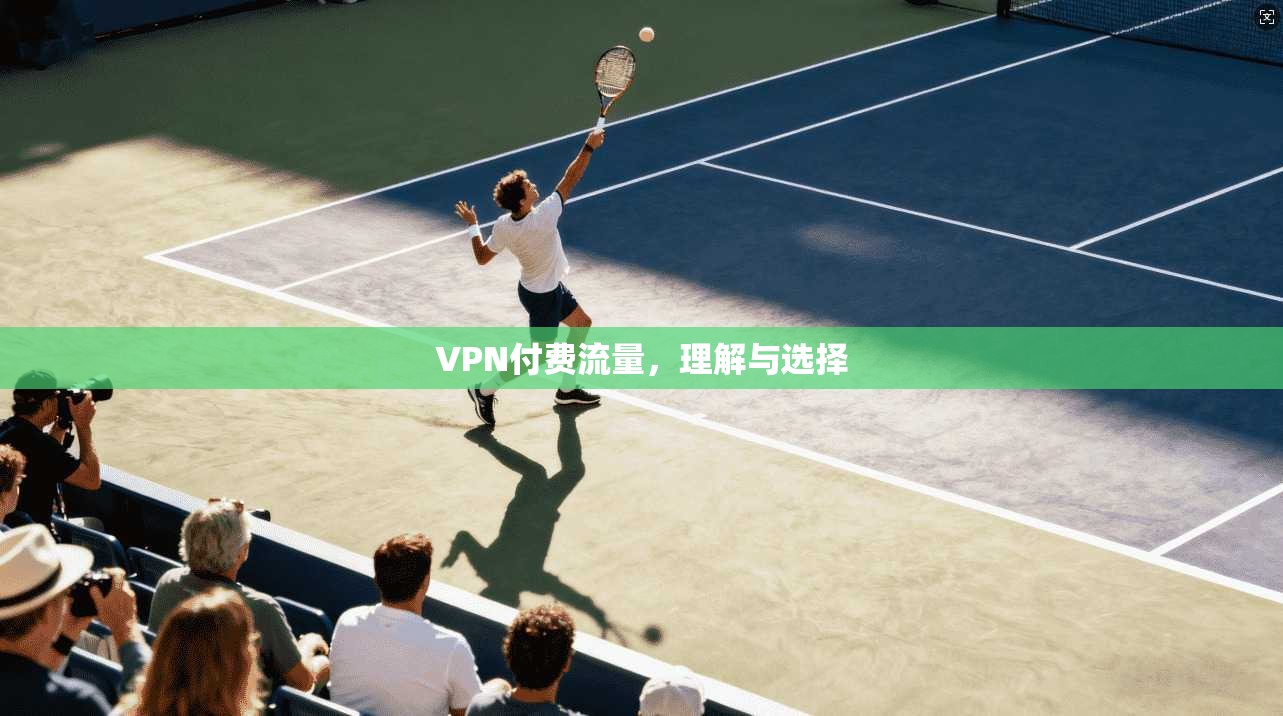 VPN付费流量，理解与选择  第1张