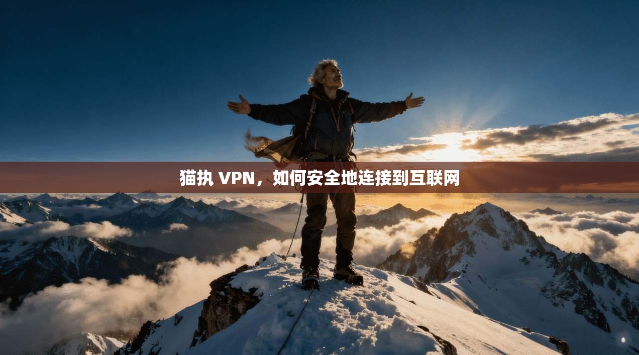 猫执 VPN，如何安全地连接到互联网  第1张