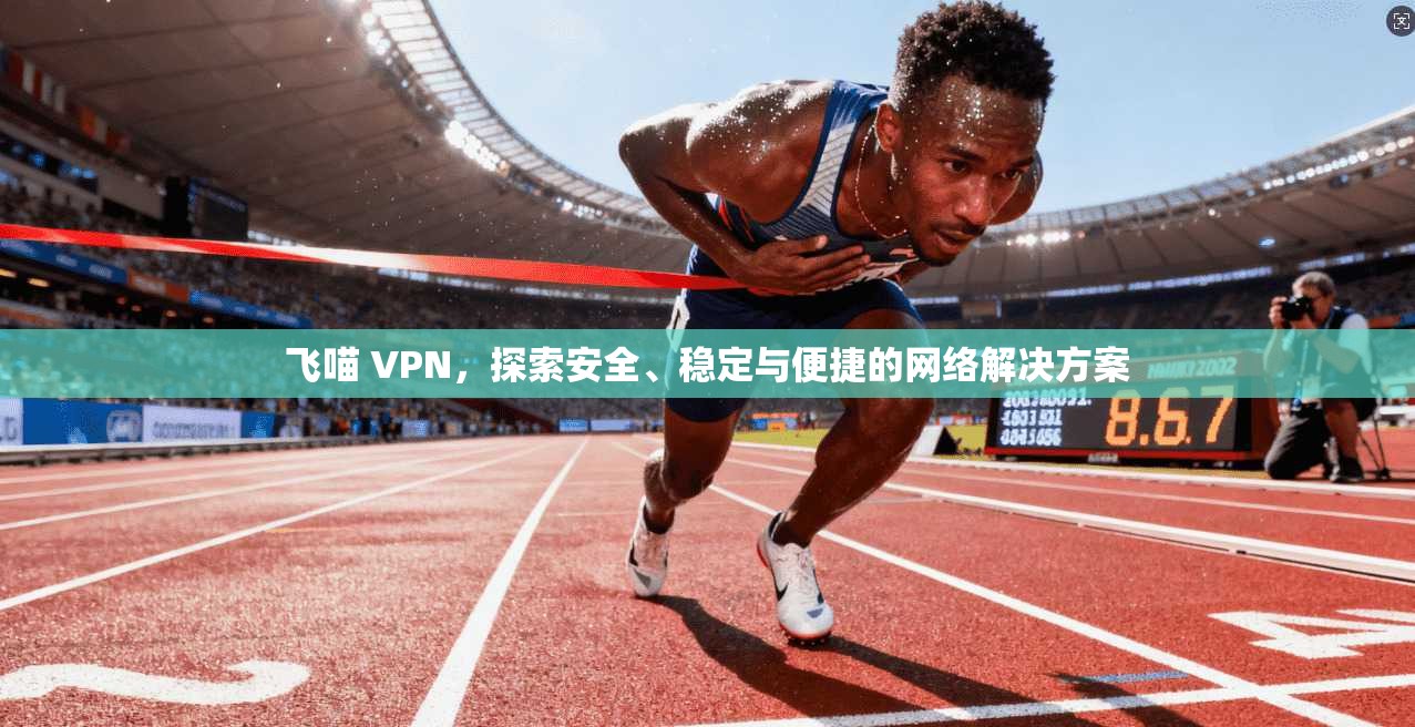 飞喵 VPN，探索安全、稳定与便捷的网络解决方案  第1张