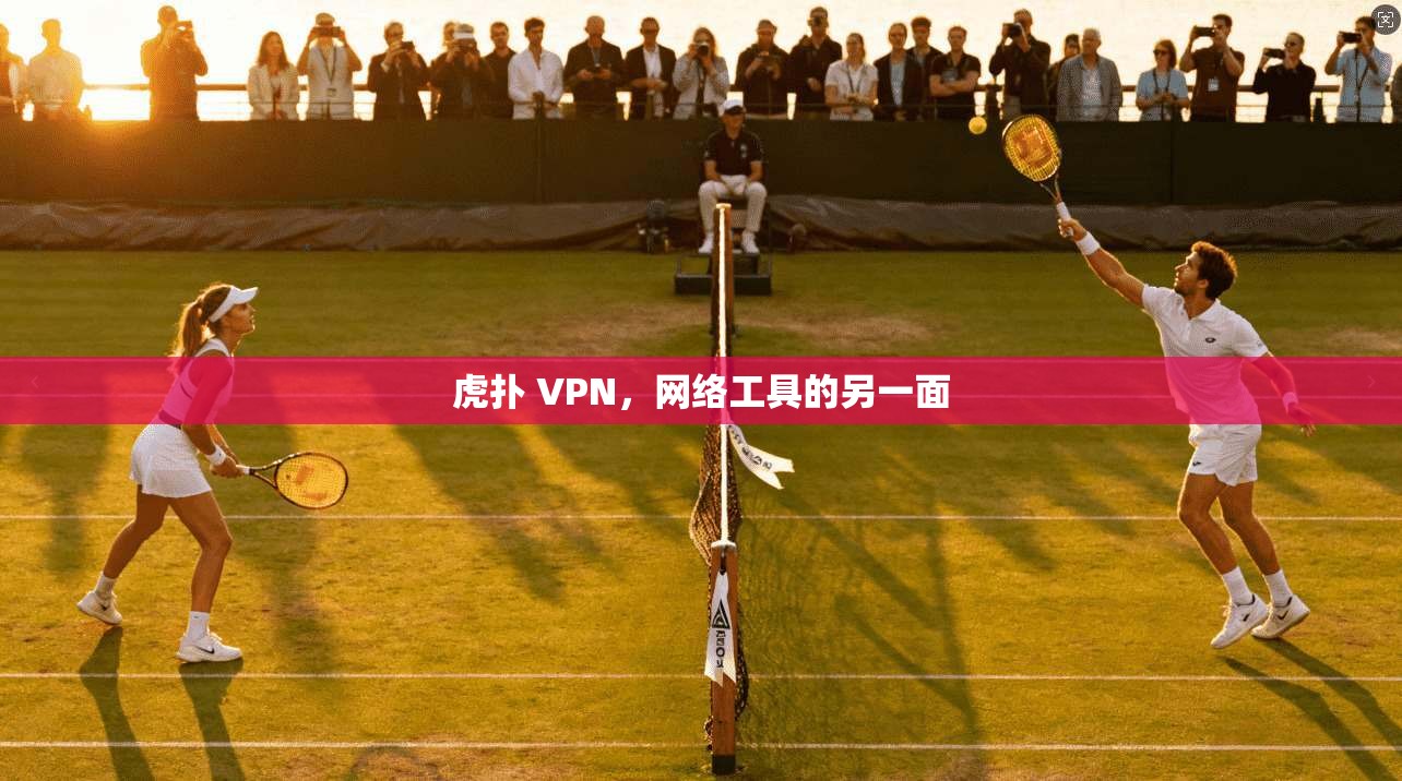 虎扑 VPN，网络工具的另一面  第1张