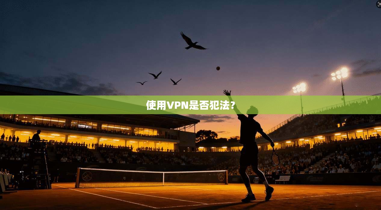 使用VPN是否犯法? 第1张 使用VPN是否犯法? 第1张