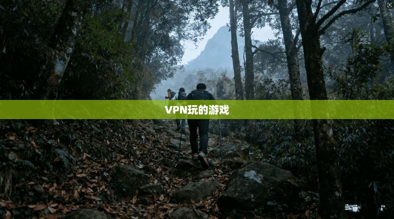 VPN玩的游戏 第1张 VPN玩的游戏 第1张