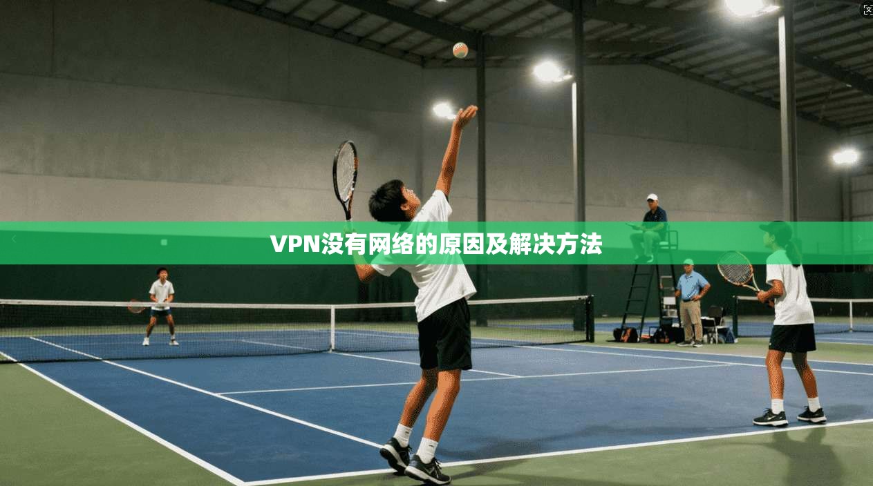 VPN没有网络的原因及解决方法  第1张