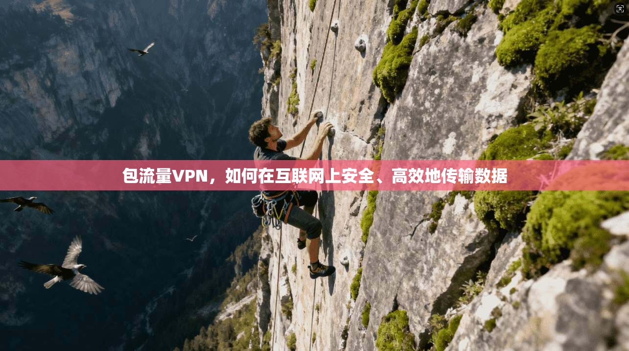 包流量VPN，如何在互联网上安全、高效地传输数据  第1张