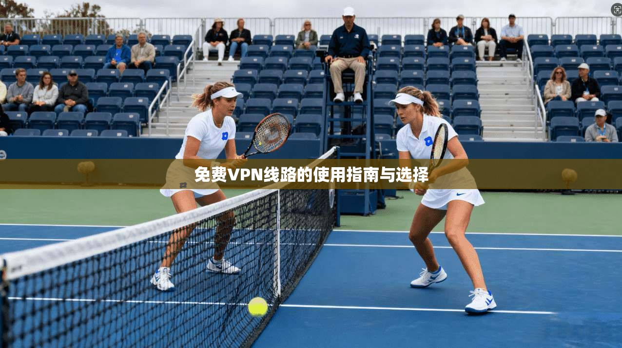 免费VPN线路的使用指南与选择  第1张