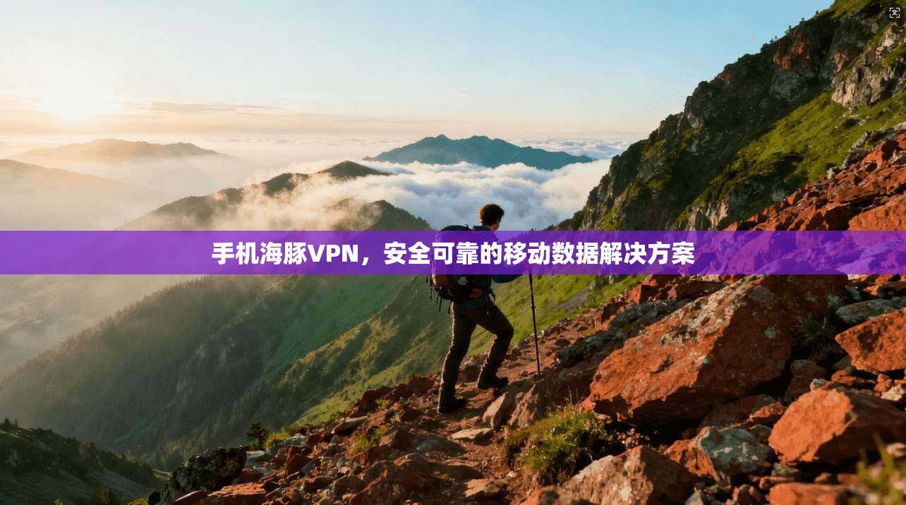 手机海豚VPN，安全可靠的移动数据解决方案  第1张
