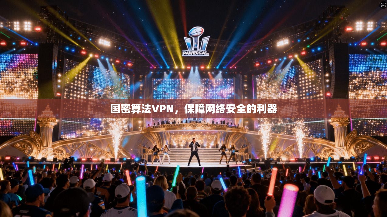 国密算法VPN，保障网络安全的利器  第1张