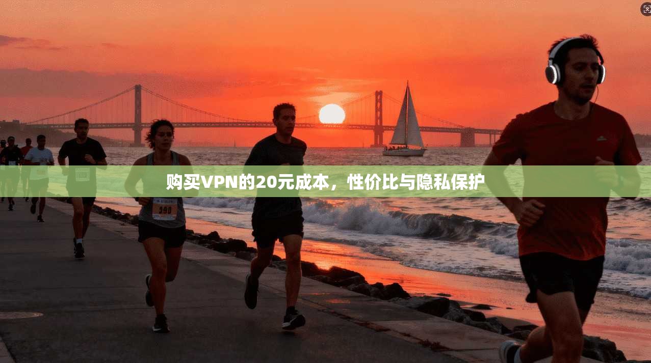 购买VPN的20元成本，性价比与隐私保护  第1张