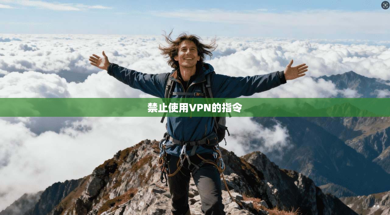 禁止使用VPN的指令  第1张