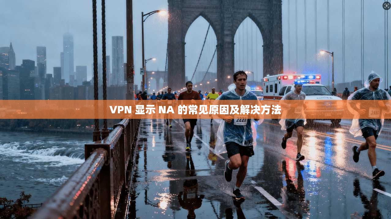 VPN 显示 NA 的常见原因及解决方法 第1张 VPN 显示 NA 的常见原因及解决方法 第1张