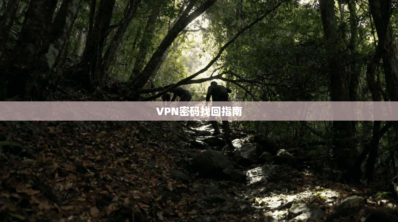 VPN密码找回指南 第1张 VPN密码找回指南 第1张
