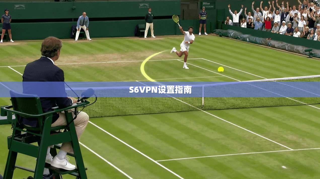 S6VPN设置指南  第1张