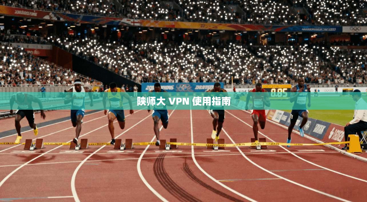 陕师大 VPN 使用指南 第1张 陕师大 VPN 使用指南 第1张