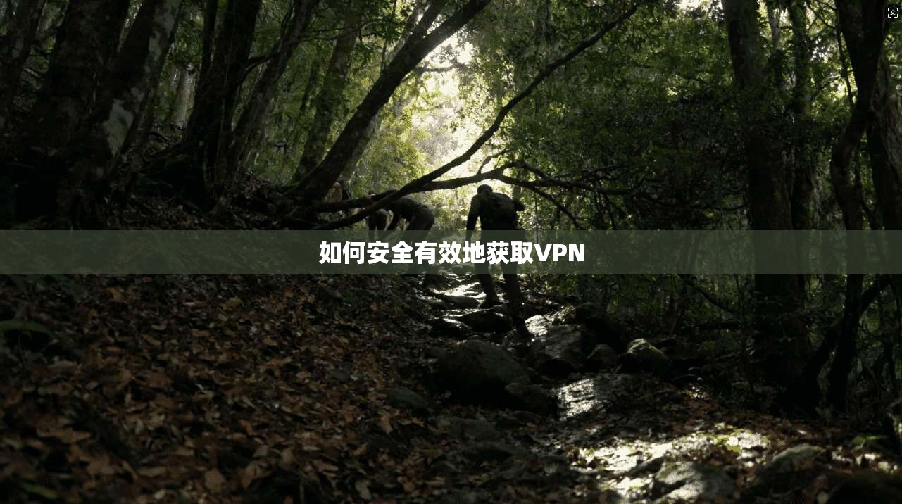 如何安全有效地获取VPN 第1张 如何安全有效地获取VPN 第1张