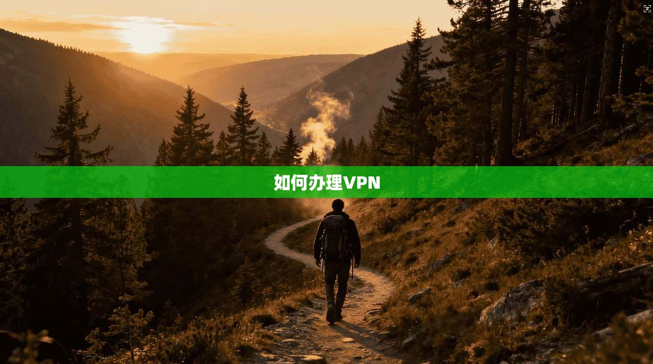 如何办理VPN 第1张 如何办理VPN 第1张