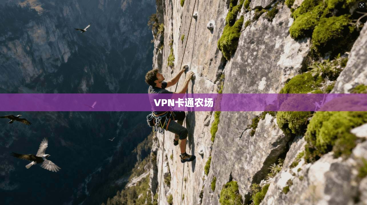 VPN卡通农场 第1张 VPN卡通农场 第1张