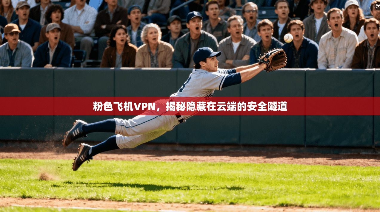 粉色飞机VPN，揭秘隐藏在云端的安全隧道  第1张