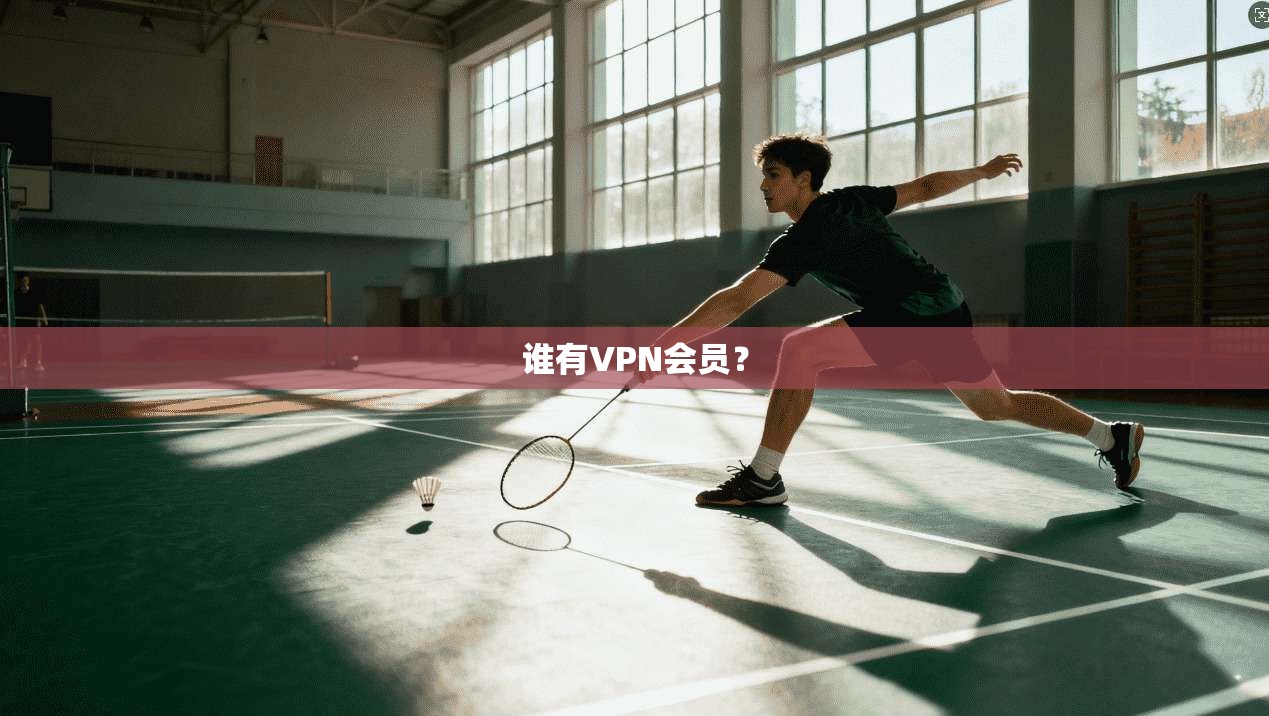 谁有VPN会员？  第1张